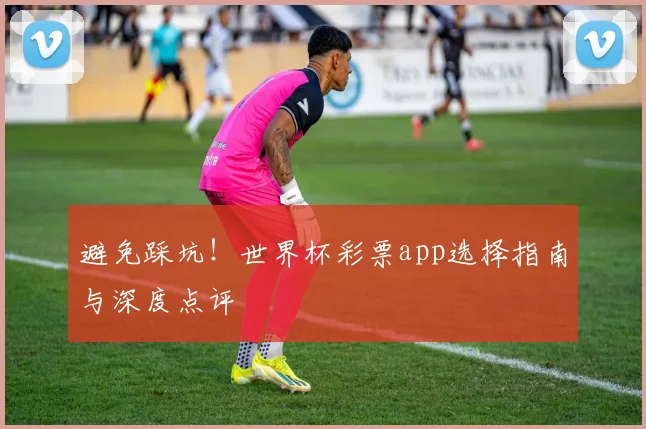 避免踩坑！世界杯彩票app选择指南与深度点评