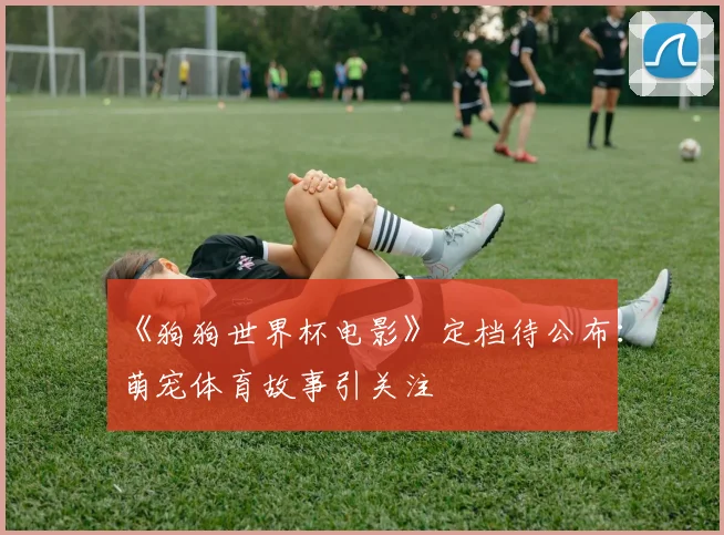 《狗狗世界杯电影》定档待公布：萌宠体育故事引关注