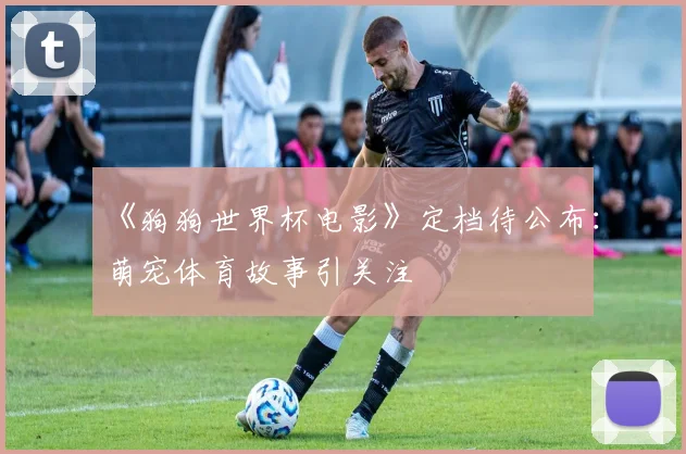 《狗狗世界杯电影》定档待公布：萌宠体育故事引关注