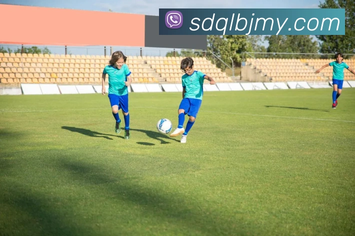 世界杯官网登录app平台生态图