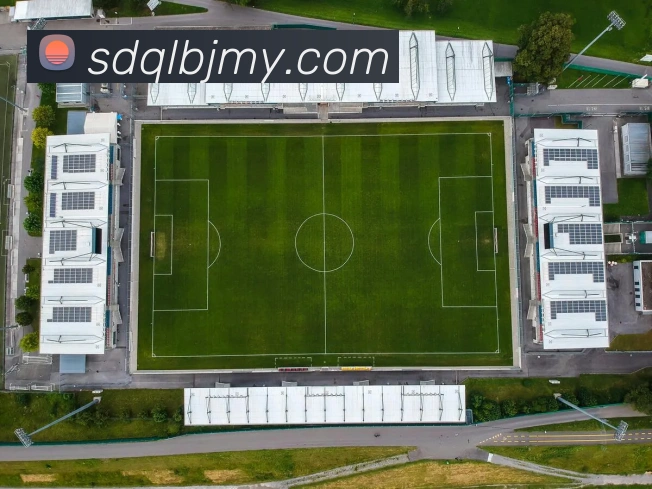 数据防护可视化